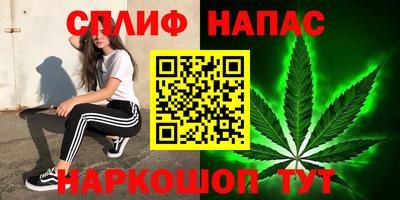 спиды Дубна